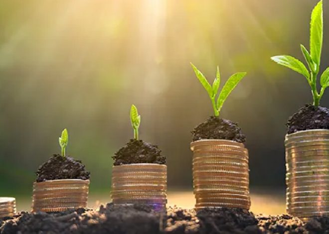 Climate Finance and Loss & Damage Funding