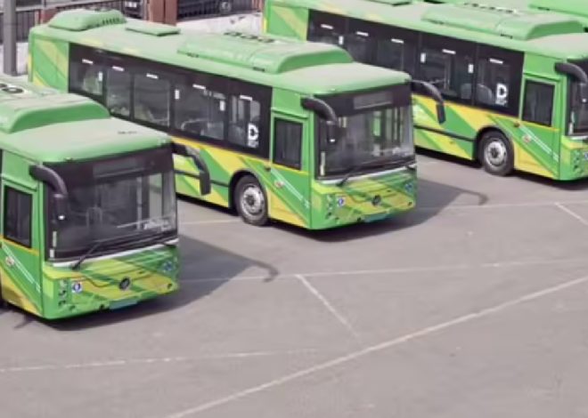 Electric Public Transport: Driving Cities to Net-Zero Mobility