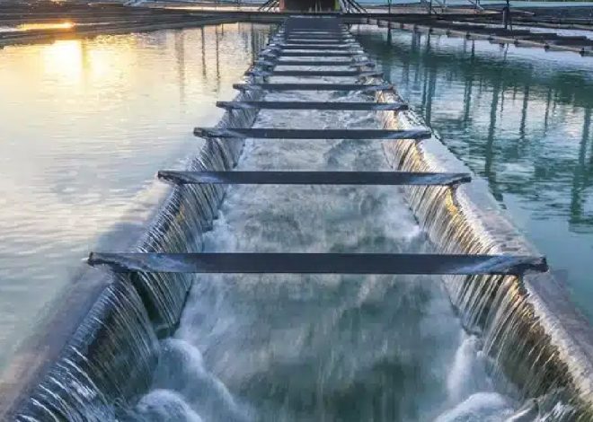 Smart Water Systems: How Universities Are Securing the Future of Every Drop